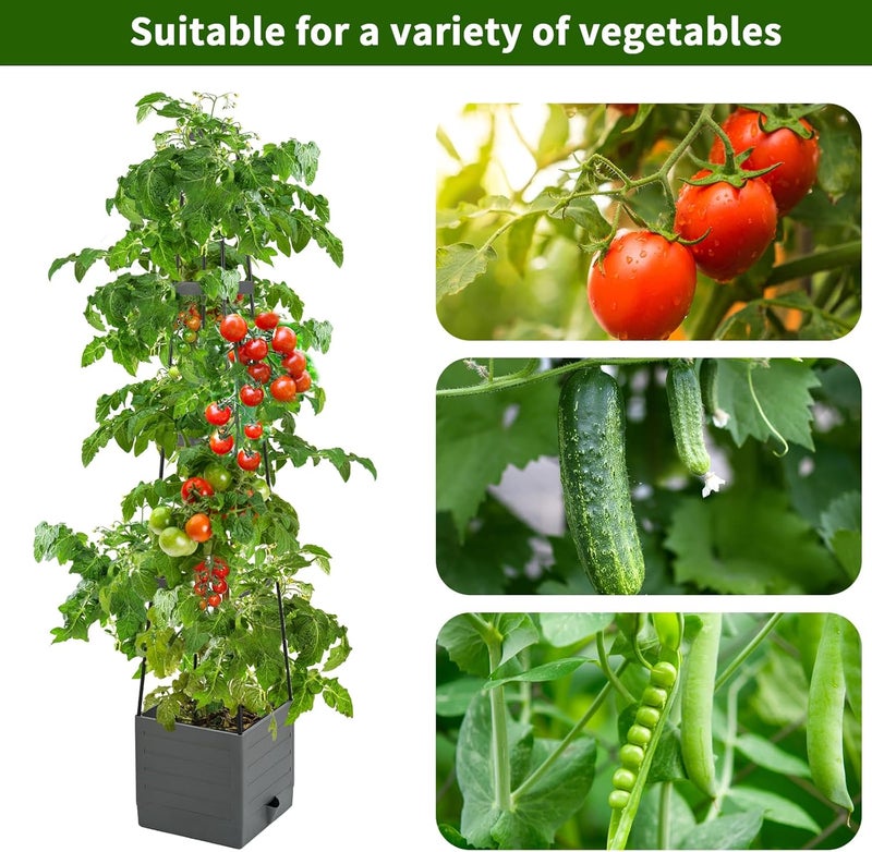 Qaobo 2 Pack Raised Garden Bed, Planter Boxes with Trellis 58.3'' Tomato Planters for Climbing Vine Vegetables Flowers Plants Self Watering Tomatoes Cage for Outdoor Patio Greenhouse - Image 2